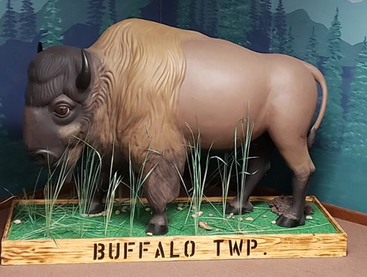 Buffalo Township Bison